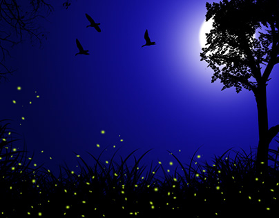 Night Scenery Illustration