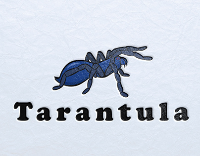 Tarantula - логотип и элементы фирменного стиля.