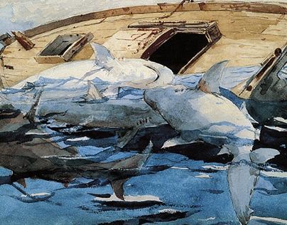 Sharks - Winslow Homer