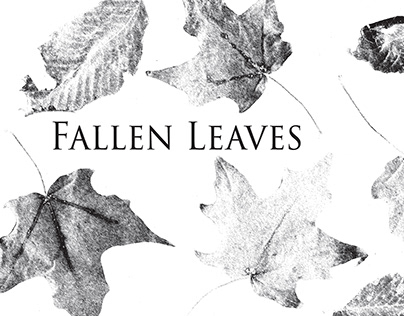 "Fallen Leaves" Photography Book Project