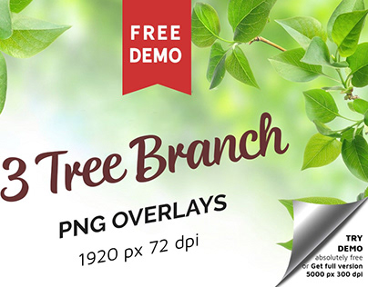 Free Green Tree Branch Photo Overlays