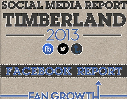 Timberland's Social Media Report