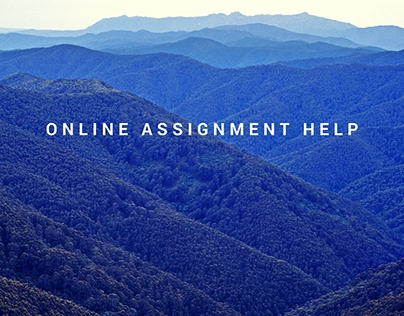 online help assignment