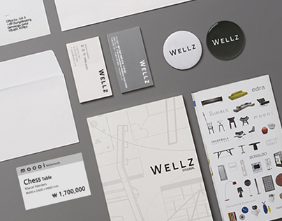 Wellz BI Renewal & Branding