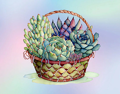Succulents Basket Watercolor Clipart