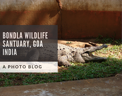 Bondla Wildlife Santuary, Goa India