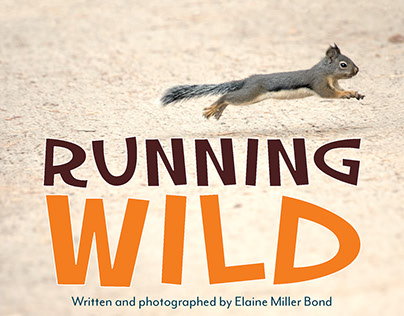 Running Wild board book