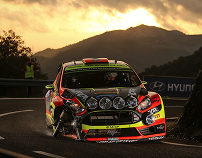 2016 WRC Review
