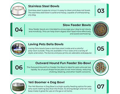 Top 11 Best 🐕 Dog Bowl For Dachshund In 2023