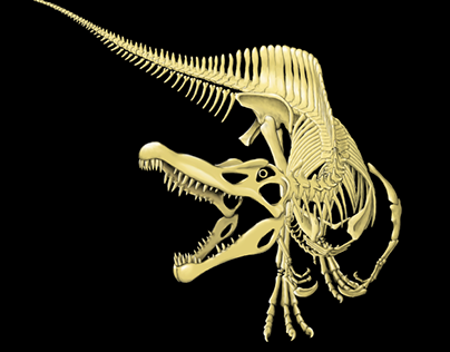 Scientific Illustration - Spinossaurus
