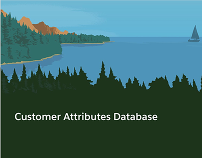 Customer Attribute Database - Salesforce