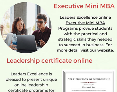 Executive Mini MBA Program