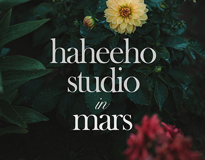 haheeho studio in mars