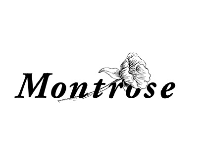 Montrose - Future Fashion