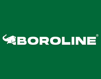 Boroline logo transparent PNG - StickPNG