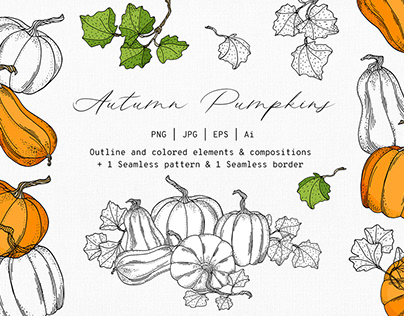 Autumn Pumpkin. Hand drawn vector graphic collection