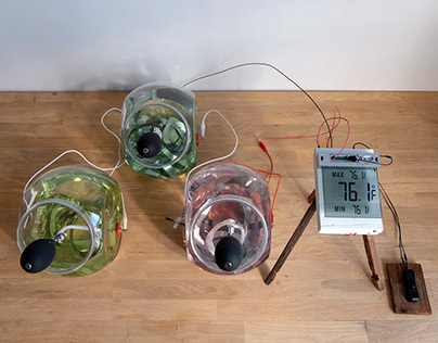 Algae-powered thermometer