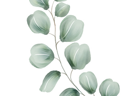 Eucalyptus Watercolor