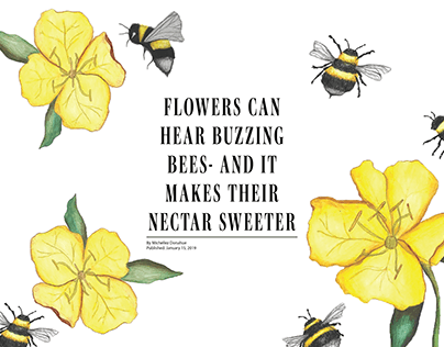 Scientific Illustration- Flower can hear buzzing bees