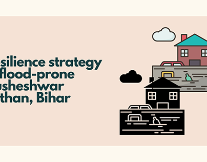 Resilience strategy in Bihar
