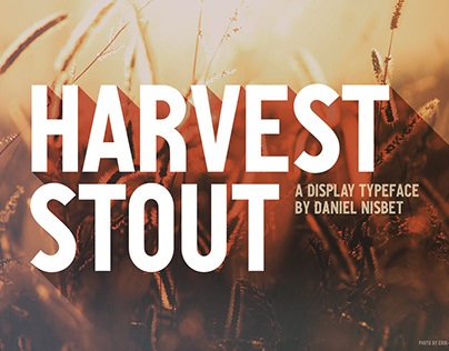 Harvest Stout