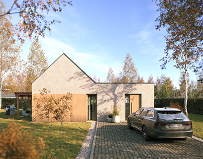 3d visualization of private houses, render, CGI