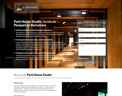Campaña SEM y Landing Page - Park House Studio - 2015