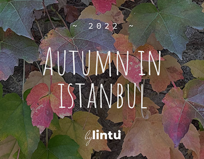autumn in Istanbul 2022