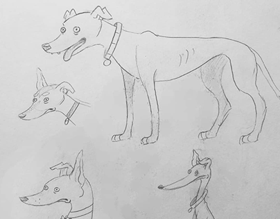 Greyhound Drawings