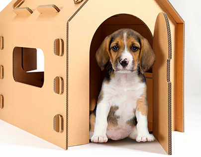 How to Make a Dog House out of Cardboard?