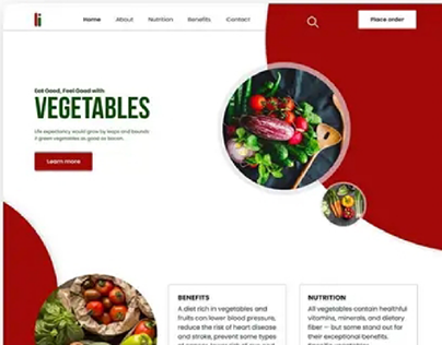 Landing page business website