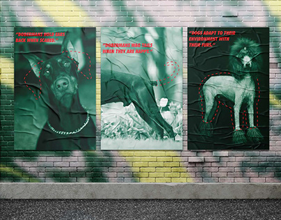Trio poster series about dogs