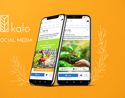 KALO - Social media | Branding