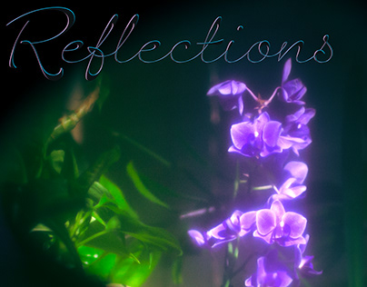 Project thumbnail - Reflections, with an intro by yours truly.