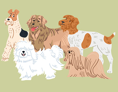 DOGS & CATS ILLUSTRATIONS