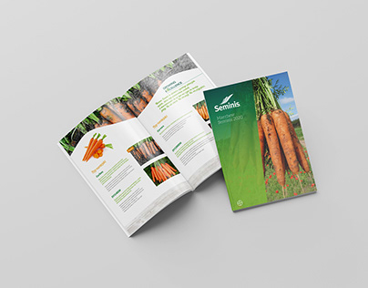 Catalogue about carrot Seminis and Bayer