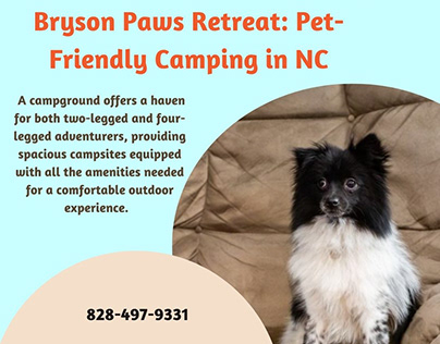 Pet-Friendly Camping Adventures in Bryson County, NC