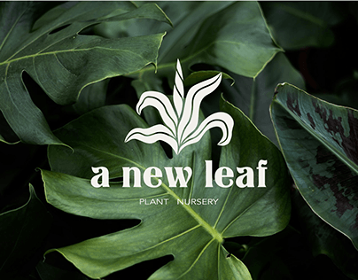 A new leaf - plant nursery - branding