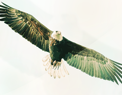 Vectoriel Eagle