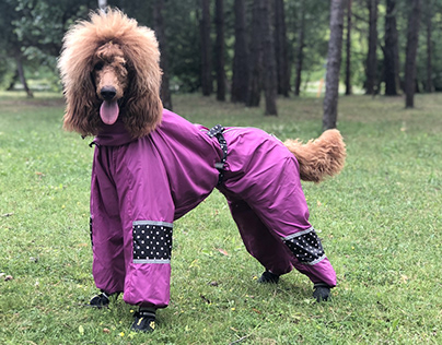 Rainproof Dog Coats