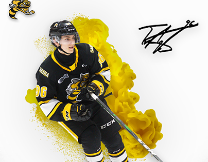 2019/20 Sarnia Sting Year in Review