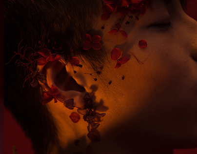 "Red ‧ Floral ‧ Man" for Volition Magazine
