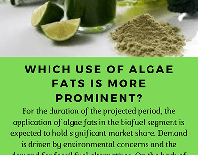 Advantages of Algae Fats Market
