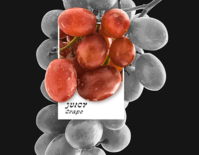 Grape/ Visual
