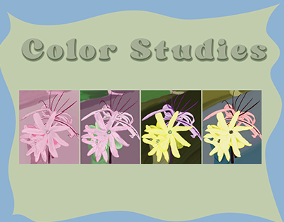 Color Studies Project
