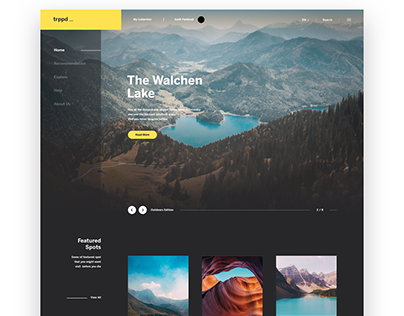 trppd • Landing Page Exploration