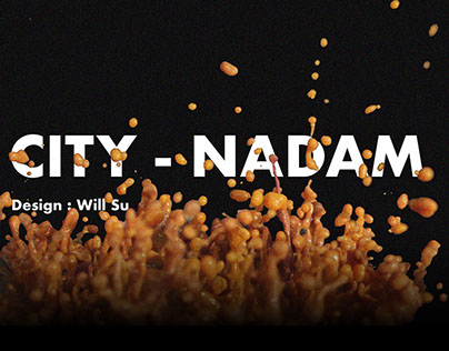 City Nadam - Integrated Design - data visualization