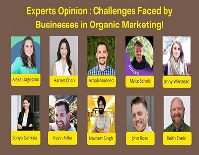 Guide to Astounding Outcomes with Organic Marketing!