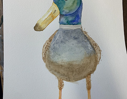 Paul the Duck