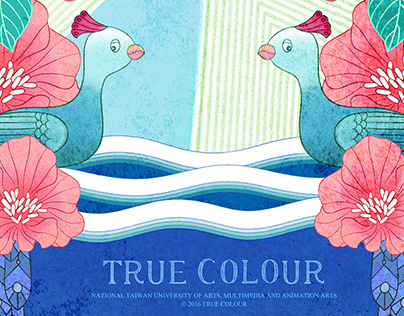 True Colour 出色 - 動畫專案